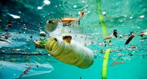 Microplásticos en peces y alimentos humanos